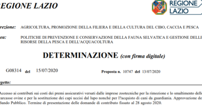 Regione Lazio_determinazione G08314 del 15/07/2020 e bando