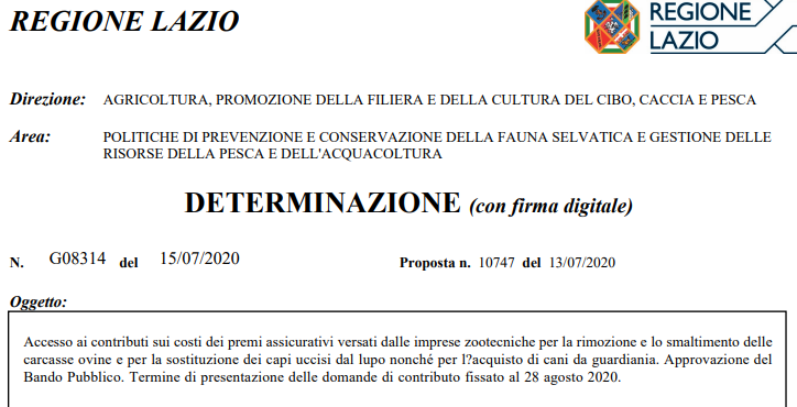Regione Lazio_determinazione G08314 del 15/07/2020 e bando
